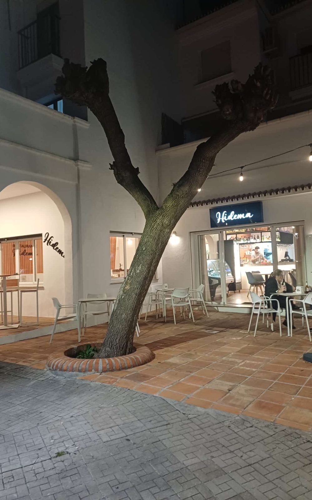 WhatsApp Image 2026-02-11 at 15.42.30